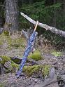 Kellerwald (34)